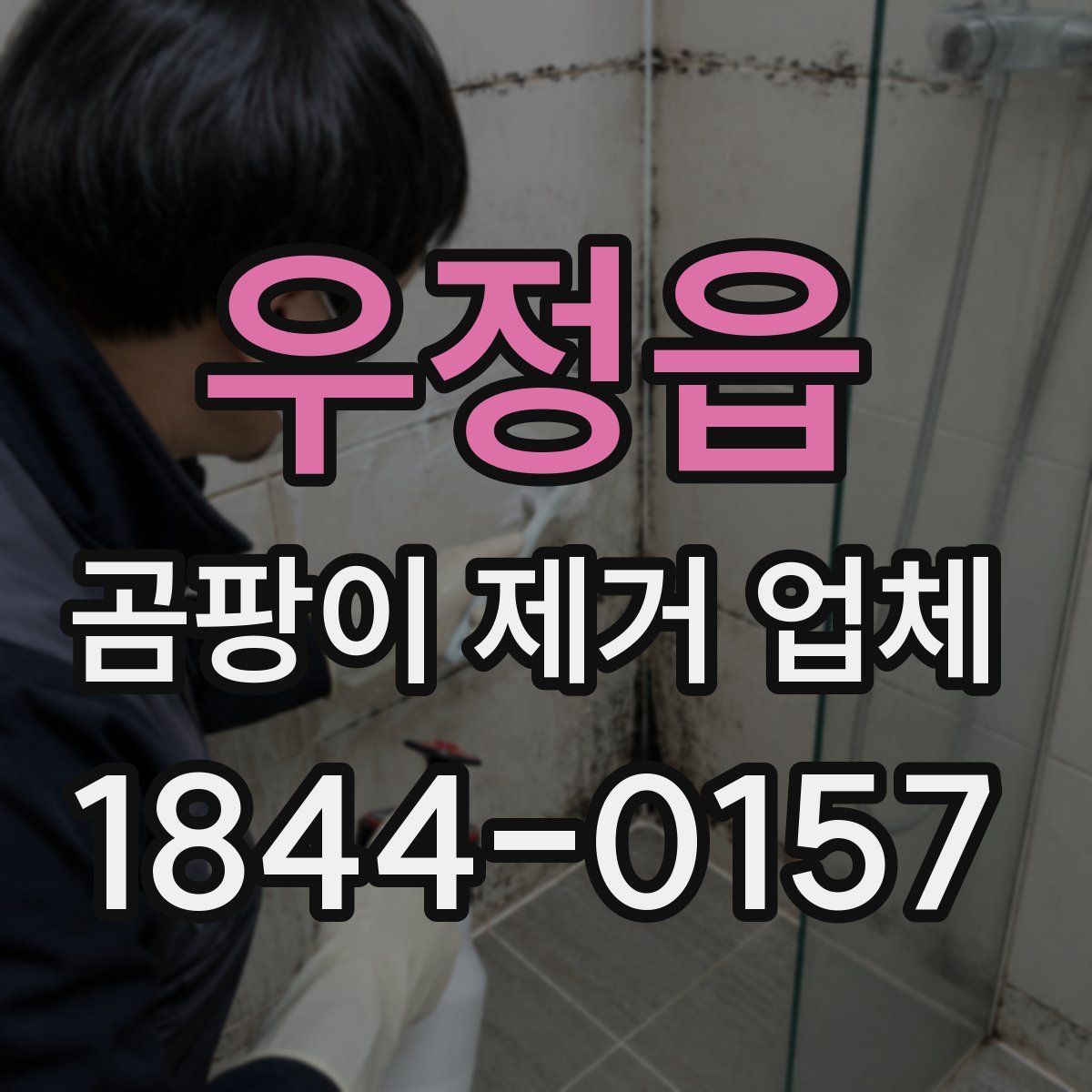 우정읍 곰팡이 제거 업체