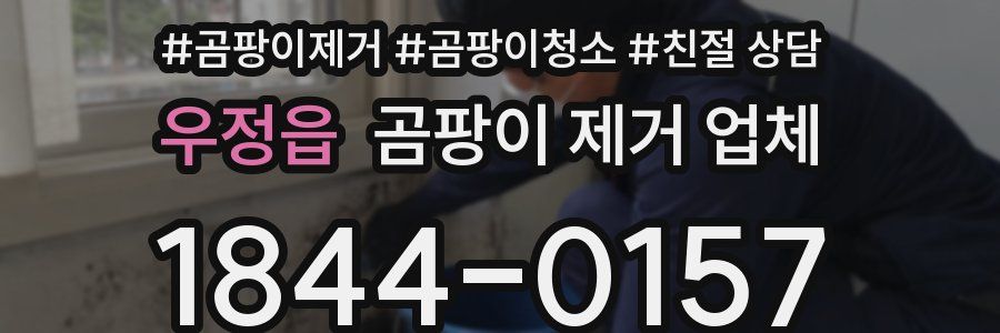 우정읍 곰팡이 제거 업체