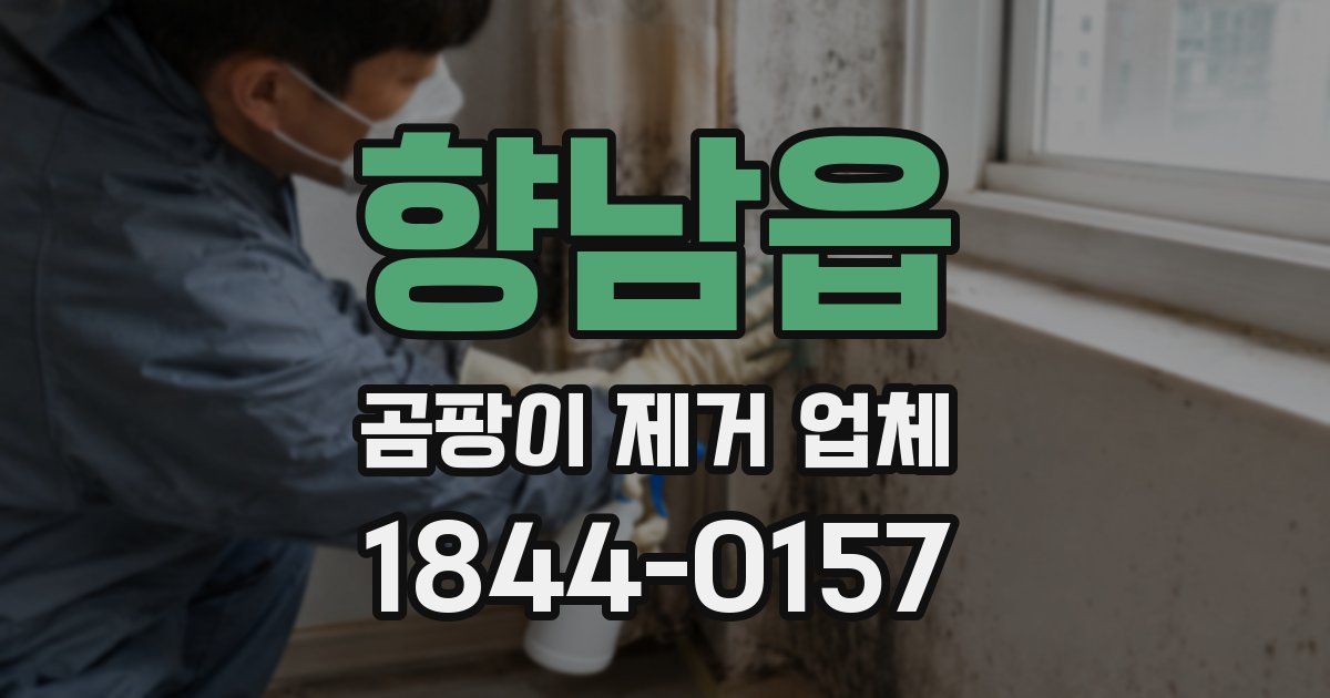 향남읍 곰팡이 제거 업체