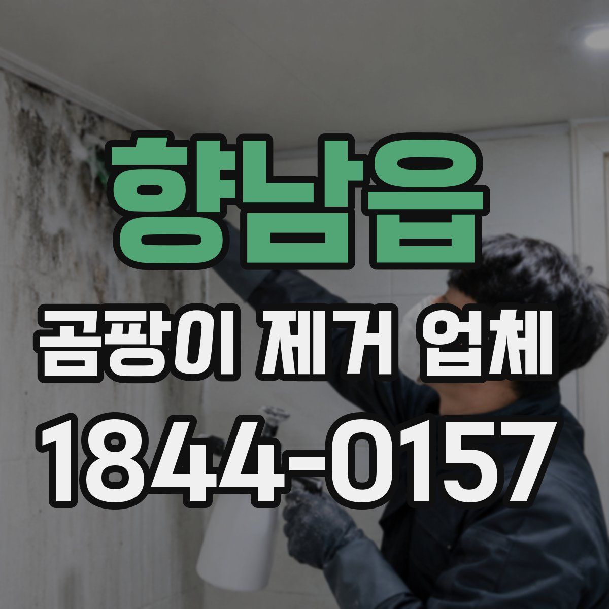 향남읍 곰팡이 제거 업체