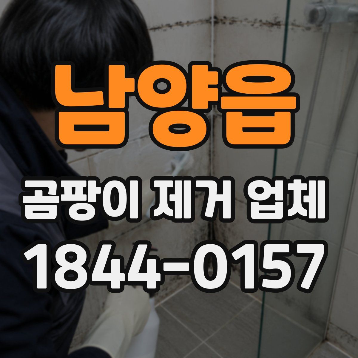 남양읍 곰팡이 제거 업체