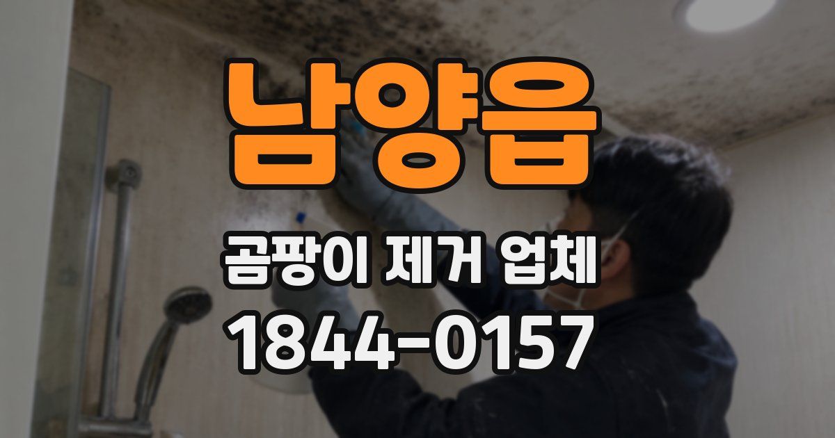 남양읍 곰팡이 제거 업체
