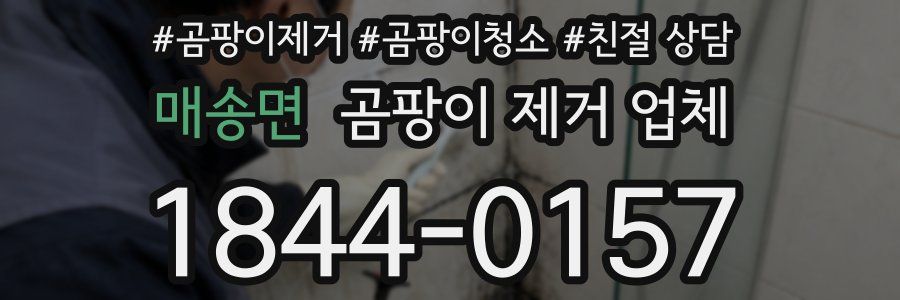 매송면 곰팡이 제거 업체
