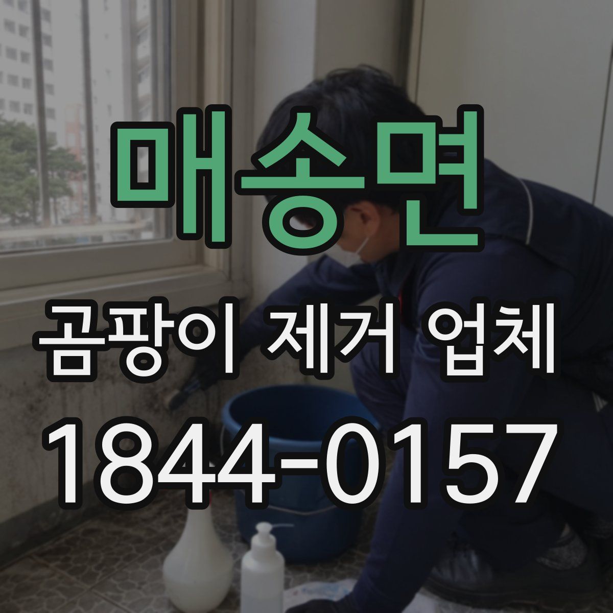 매송면 곰팡이 제거 업체