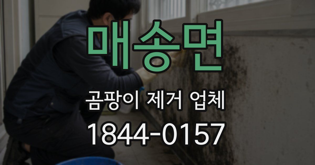 매송면 곰팡이 제거 업체