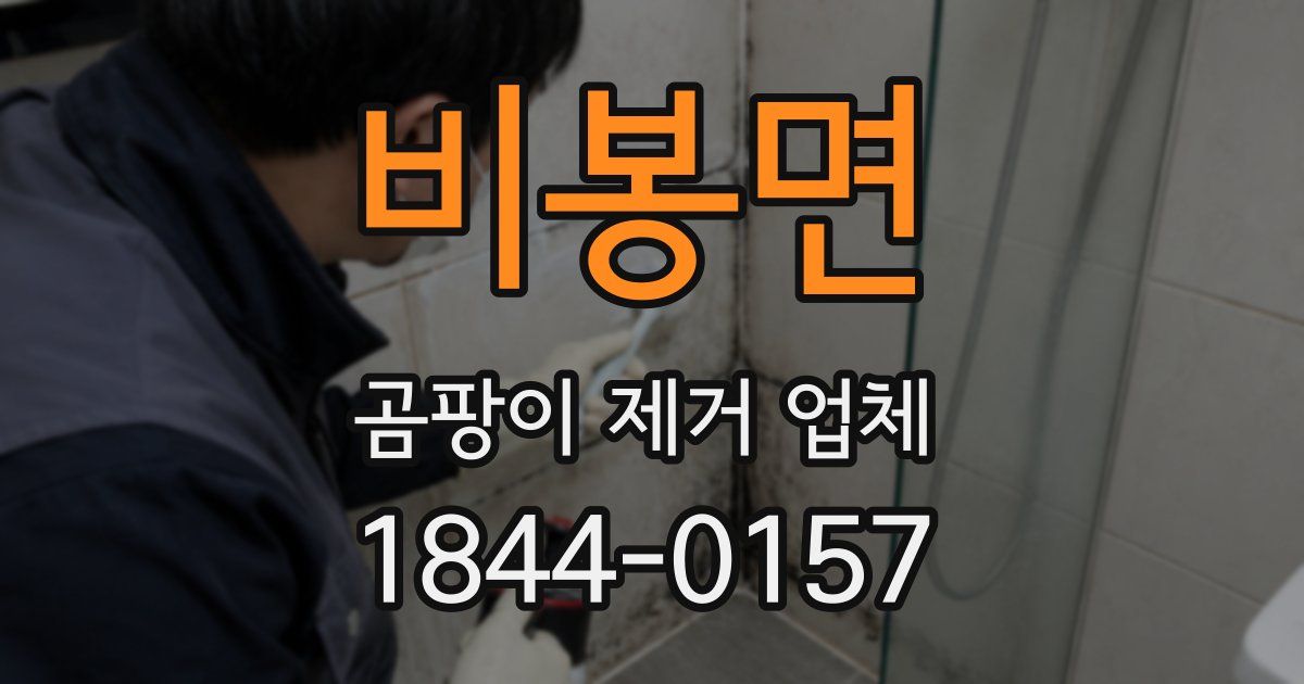 비봉면 곰팡이 제거 업체