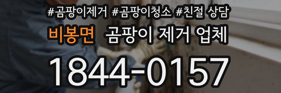 비봉면 곰팡이 제거 업체