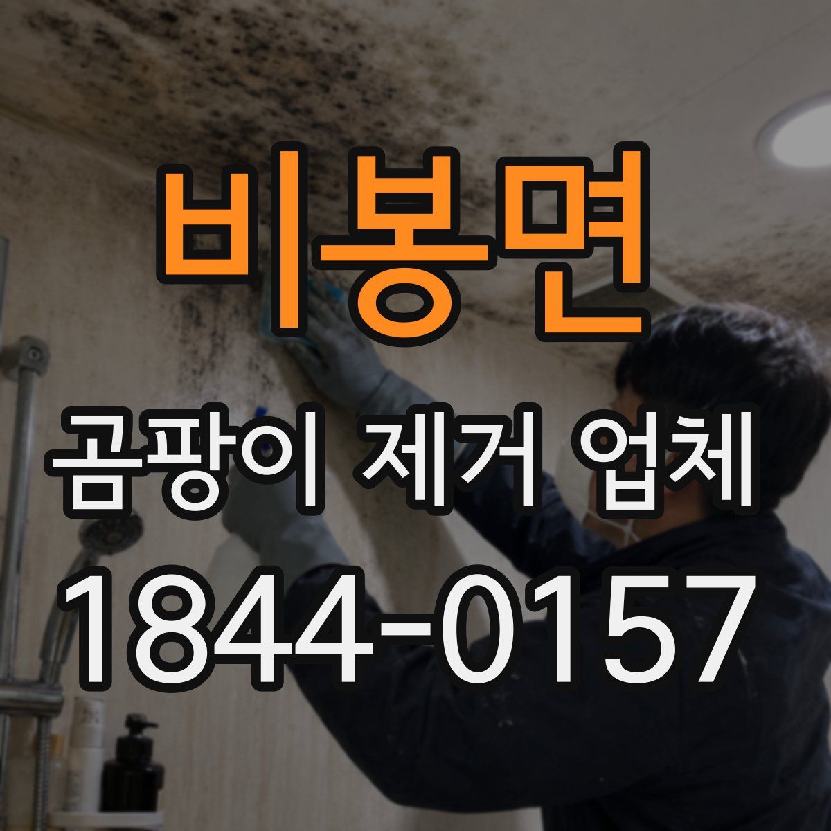 비봉면 곰팡이 제거 업체