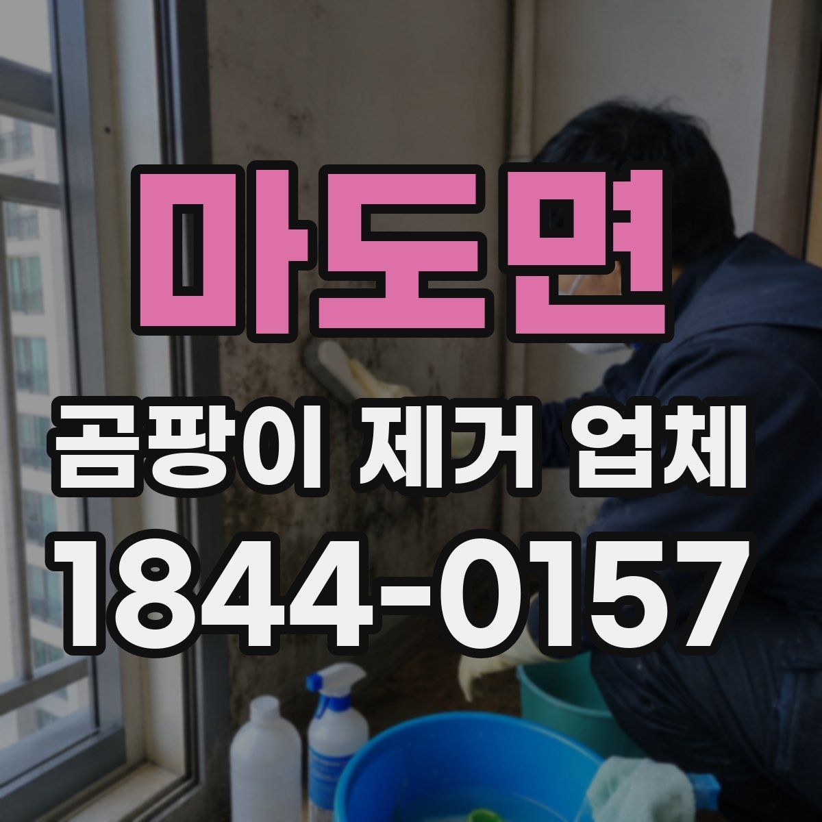 마도면 곰팡이 제거 업체