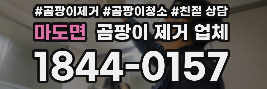 마도면 곰팡이 제거 업체