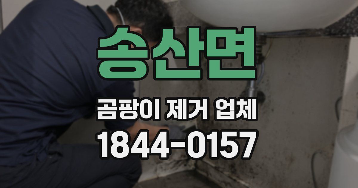 송산면 곰팡이 제거 업체