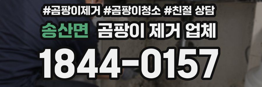 송산면 곰팡이 제거 업체