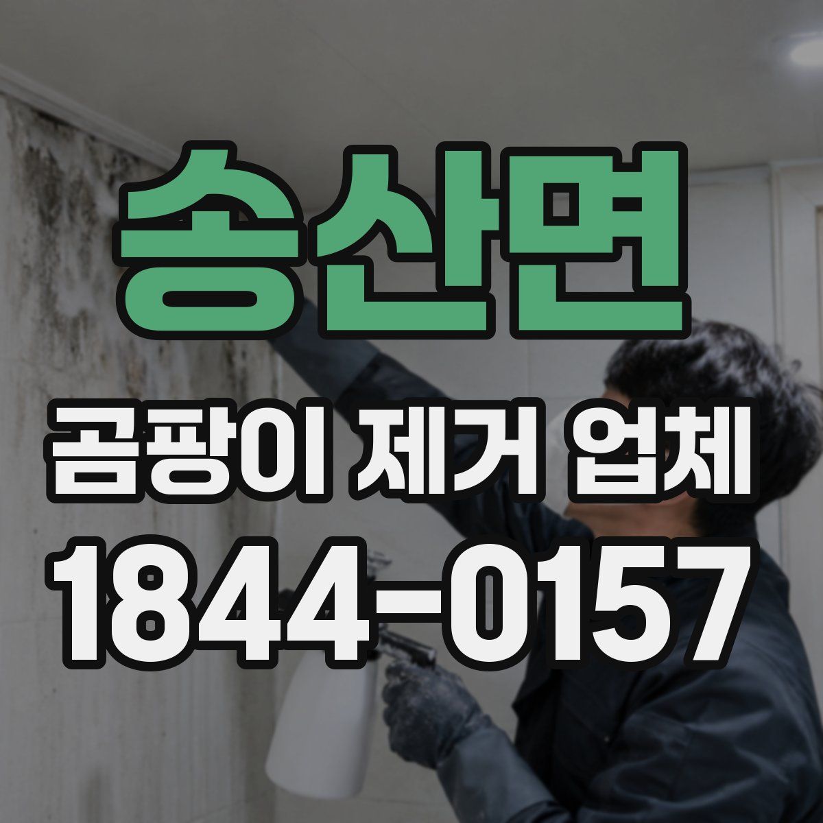 송산면 곰팡이 제거 업체
