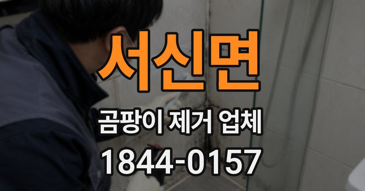 서신면 곰팡이 제거 업체