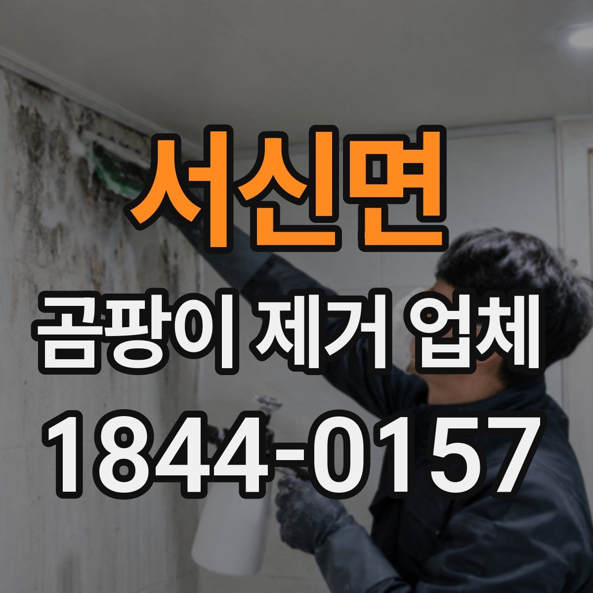 서신면 곰팡이 제거 업체