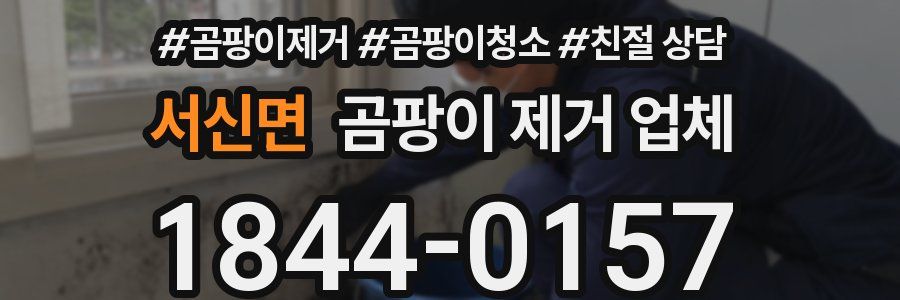 서신면 곰팡이 제거 업체