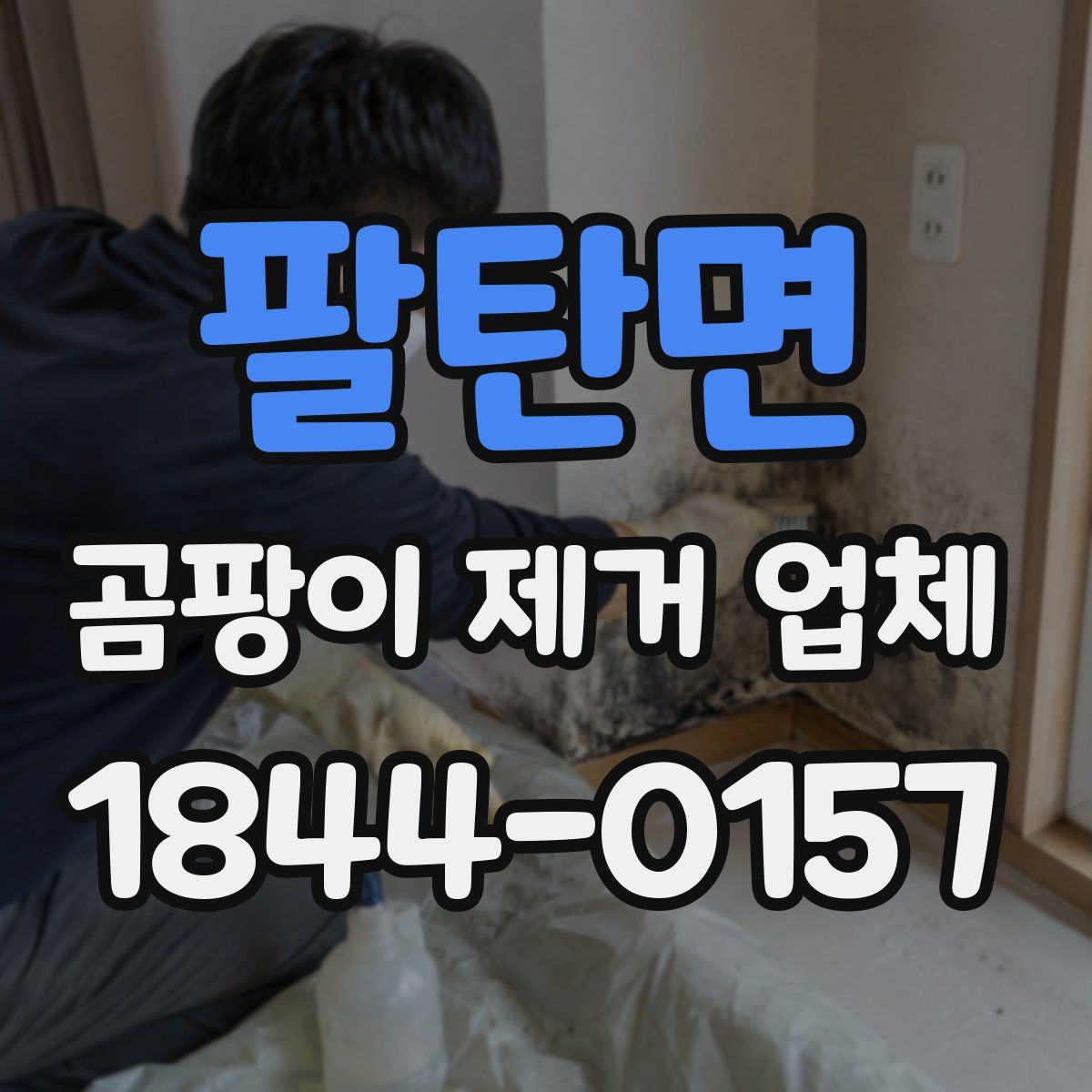 팔탄면 곰팡이 제거 업체