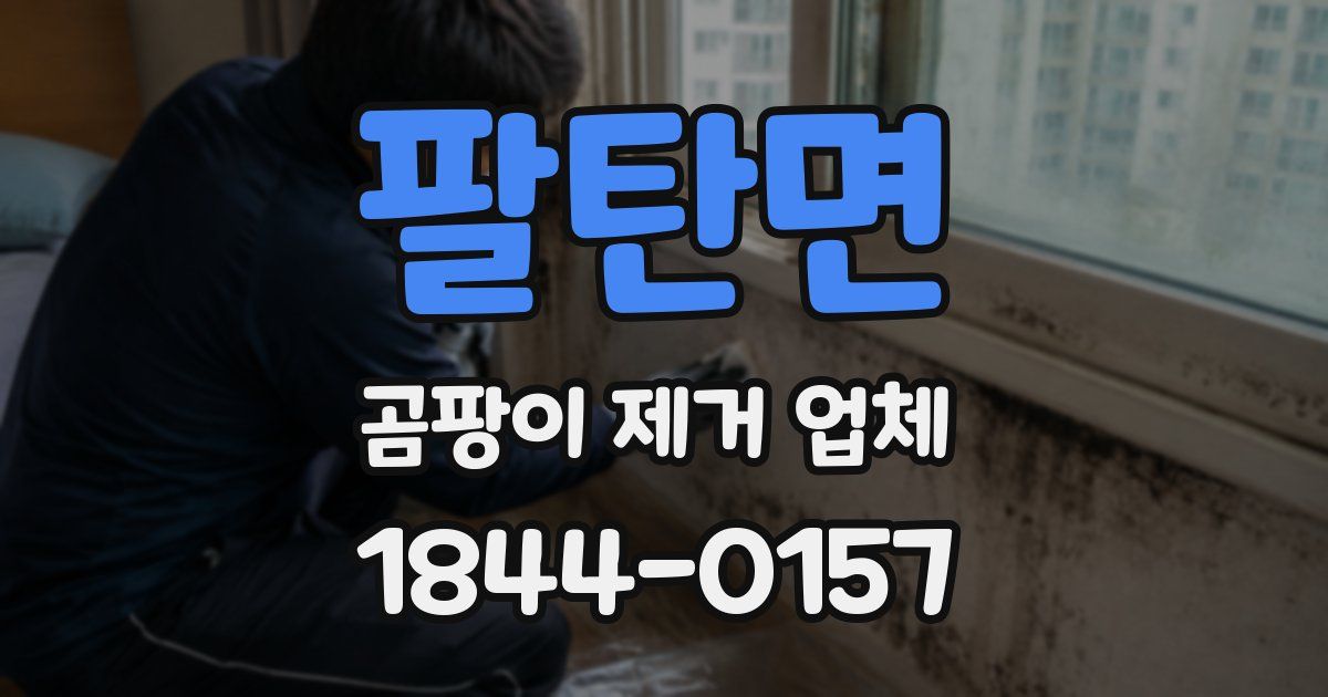 팔탄면 곰팡이 제거 업체