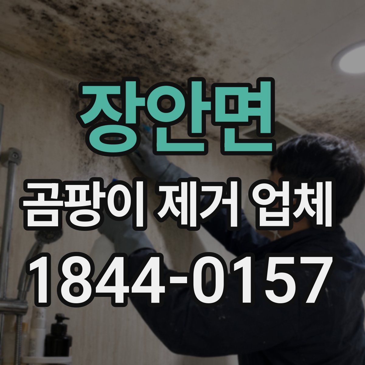장안면 곰팡이 제거 업체