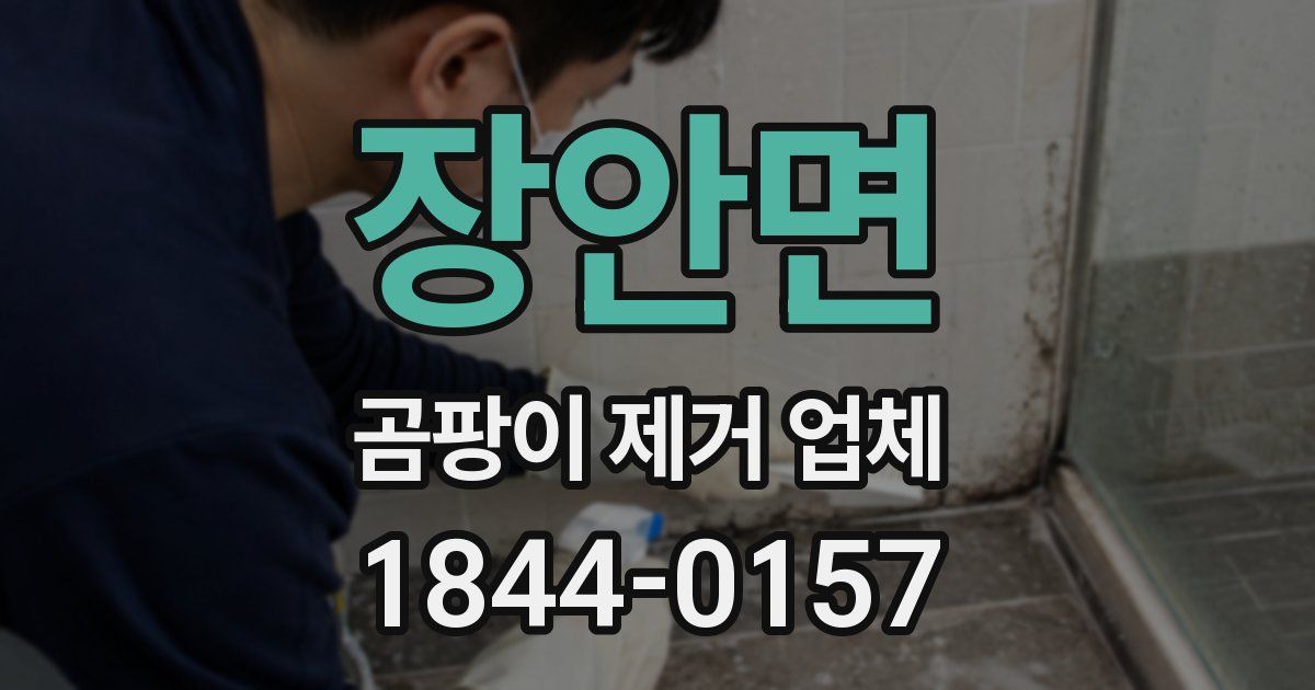 장안면 곰팡이 제거 업체