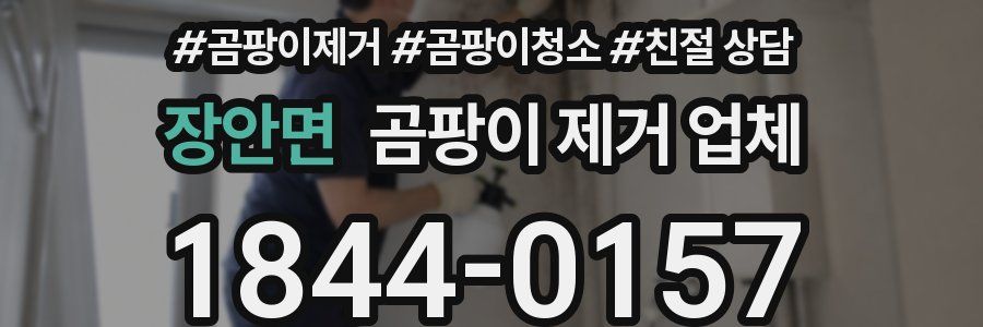장안면 곰팡이 제거 업체