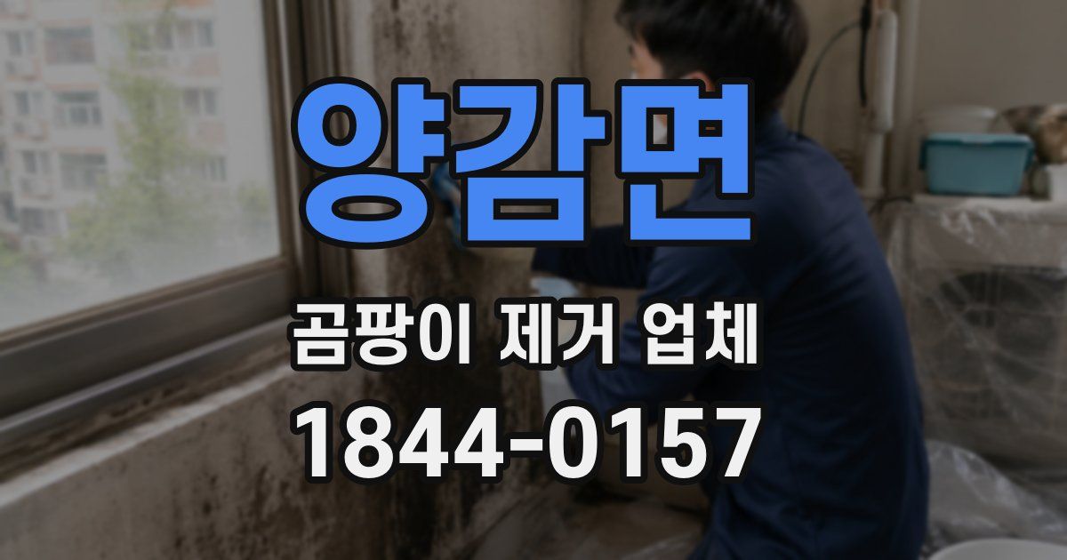 양감면 곰팡이 제거 업체