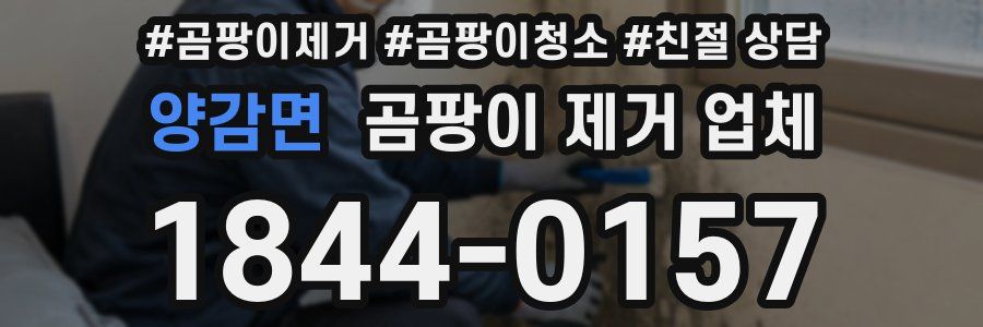 양감면 곰팡이 제거 업체