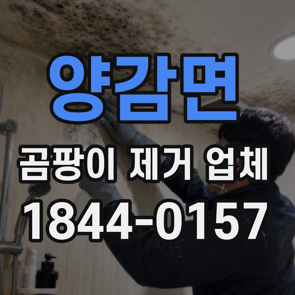 양감면 곰팡이 제거 업체