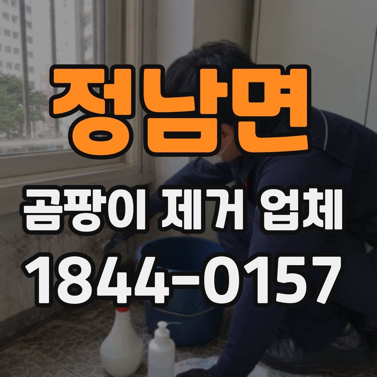 정남면 곰팡이 제거 업체 선택에 도움이 되는 체크 포인트