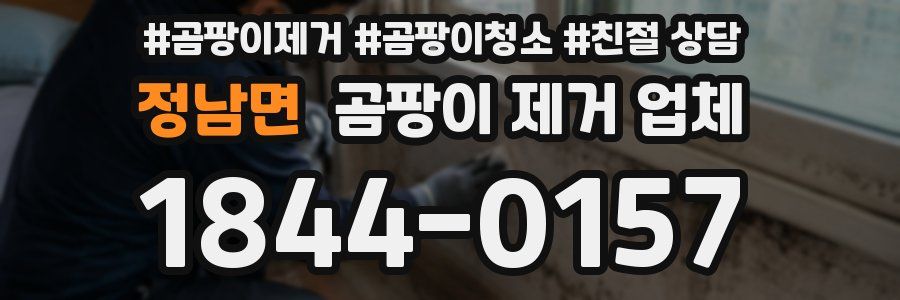 정남면 곰팡이 제거 업체