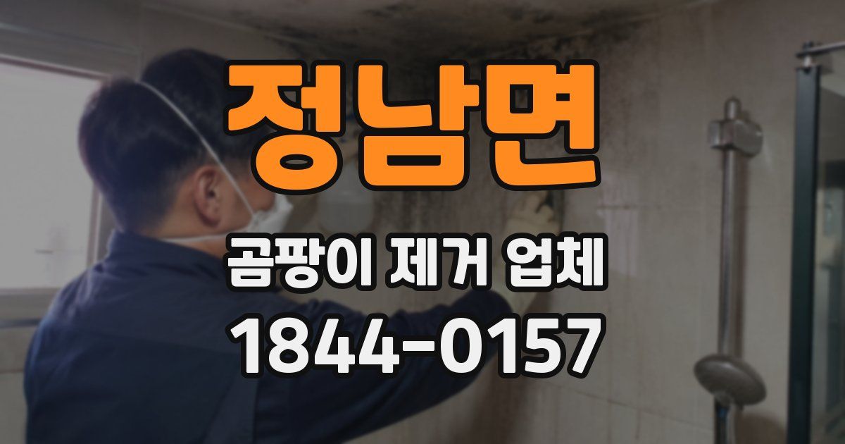 정남면 곰팡이 제거 업체