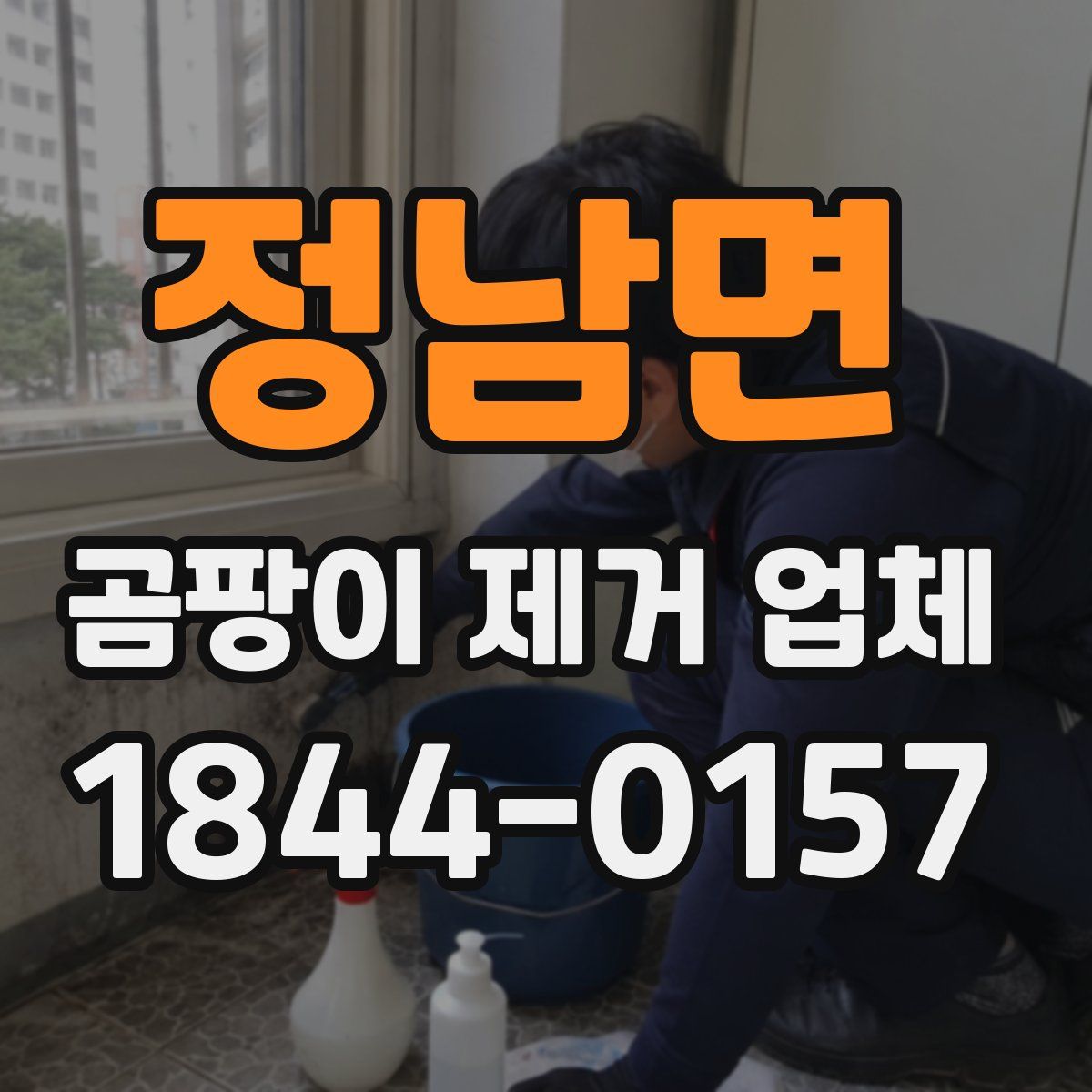 정남면 곰팡이 제거 업체