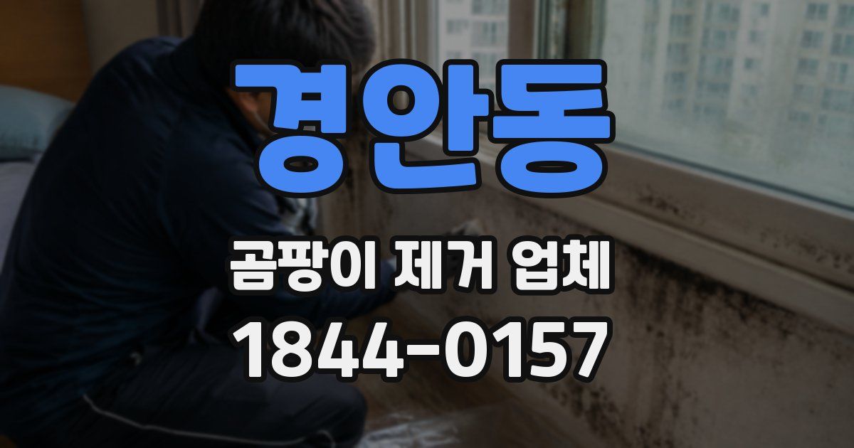 경안동 곰팡이 제거 업체