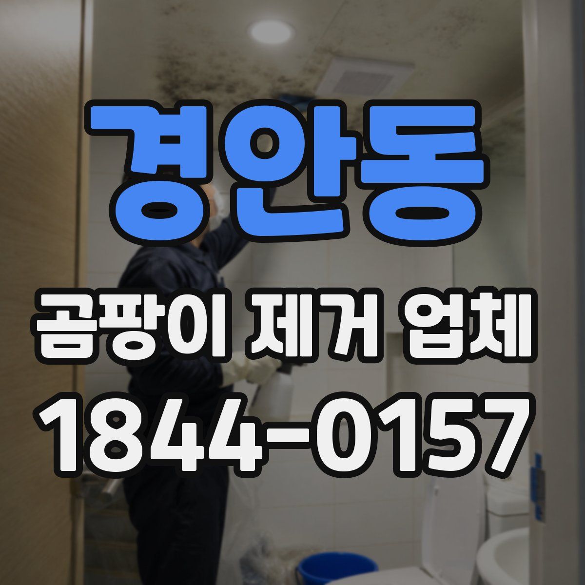 경안동 곰팡이 제거 업체