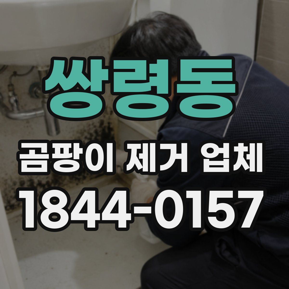 쌍령동 곰팡이 제거 업체