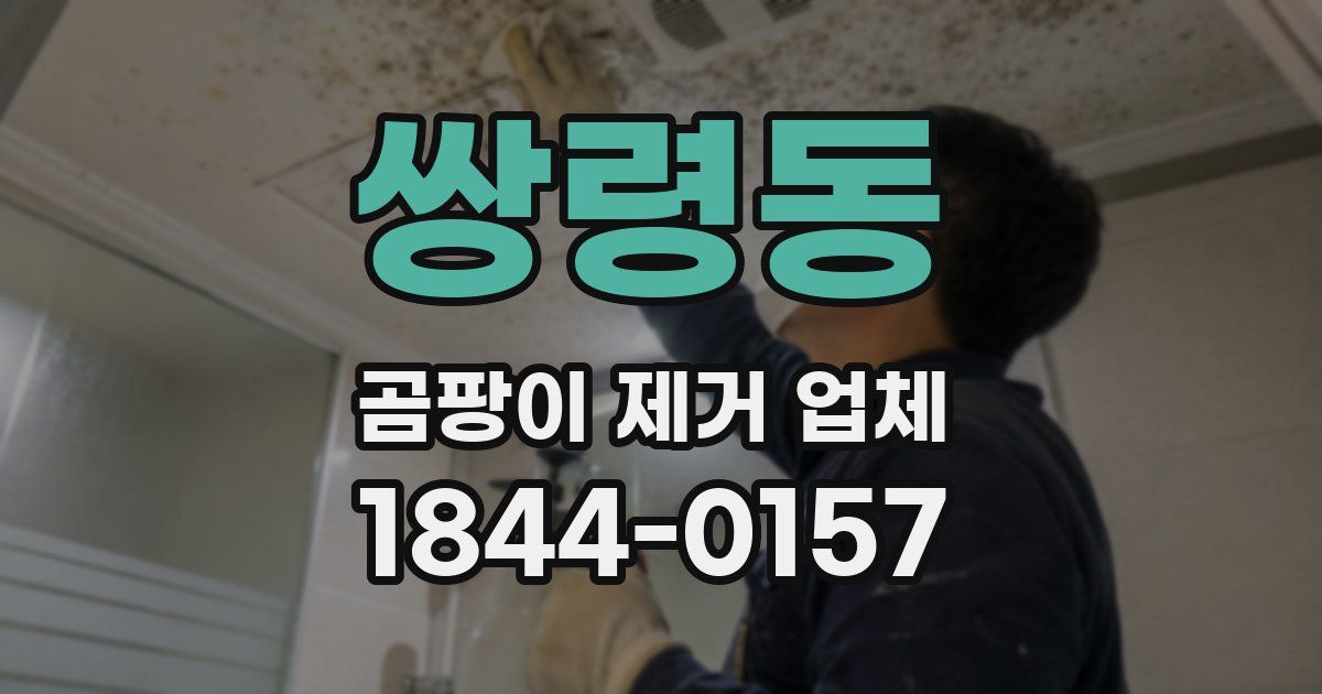 쌍령동 곰팡이 제거 업체