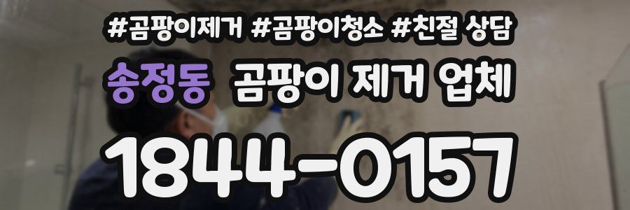 송정동 곰팡이 제거 업체