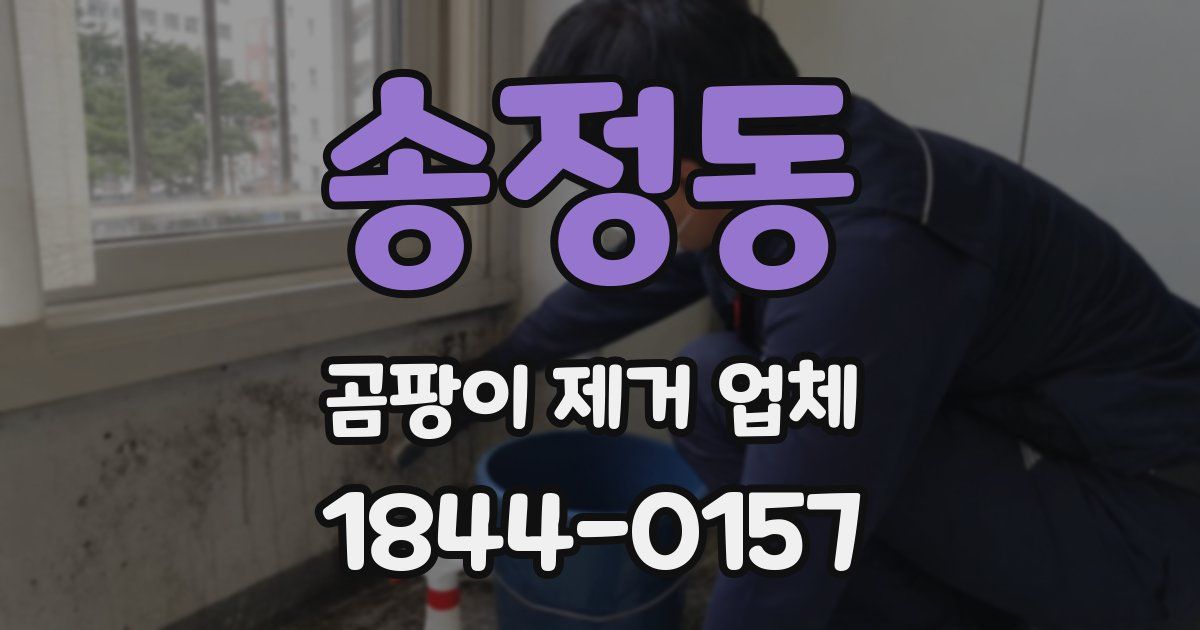 송정동 곰팡이 제거 업체