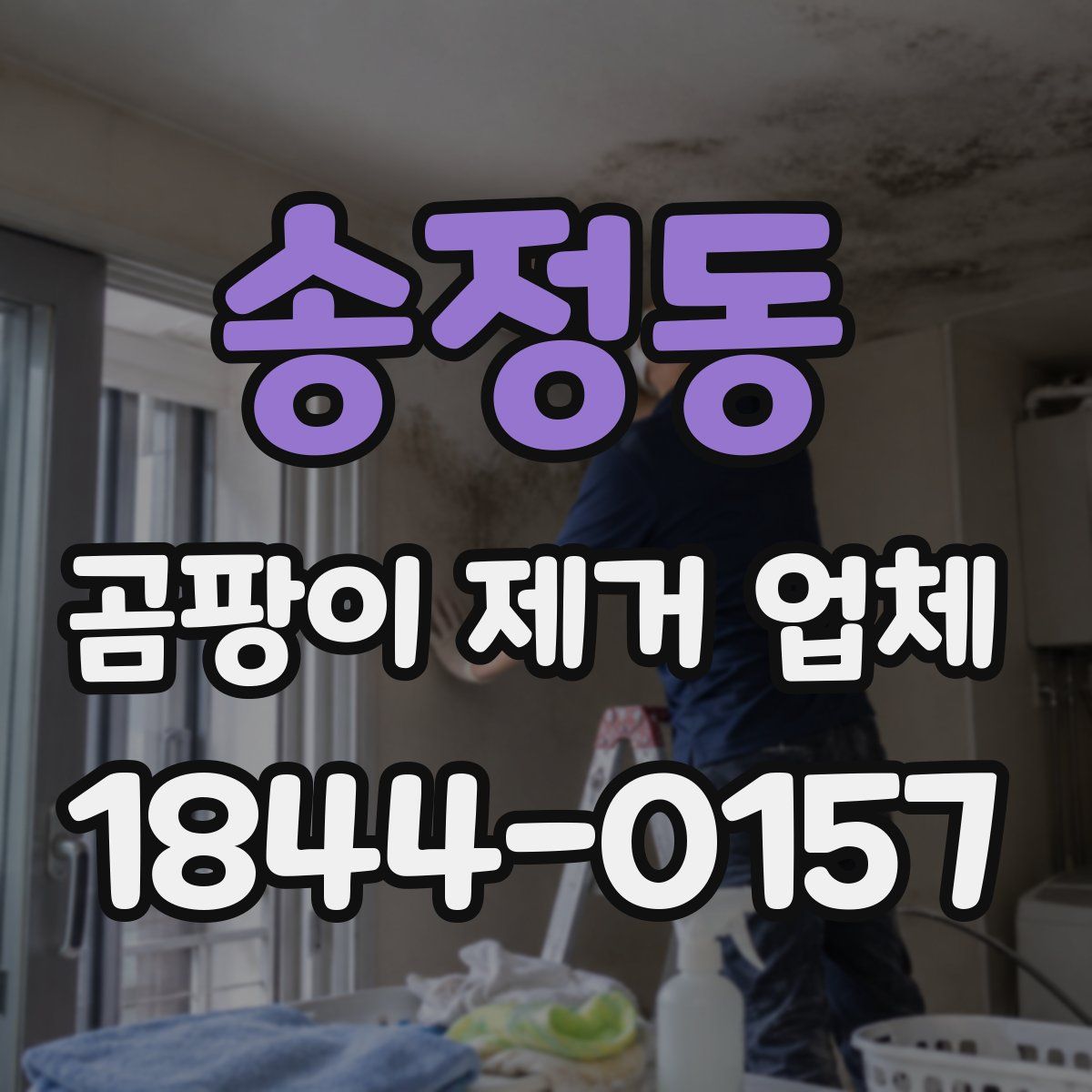 송정동 곰팡이 제거 업체