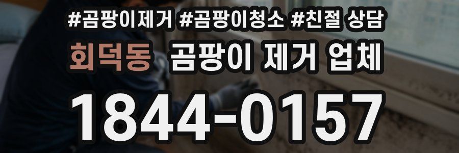 회덕동 곰팡이 제거 업체