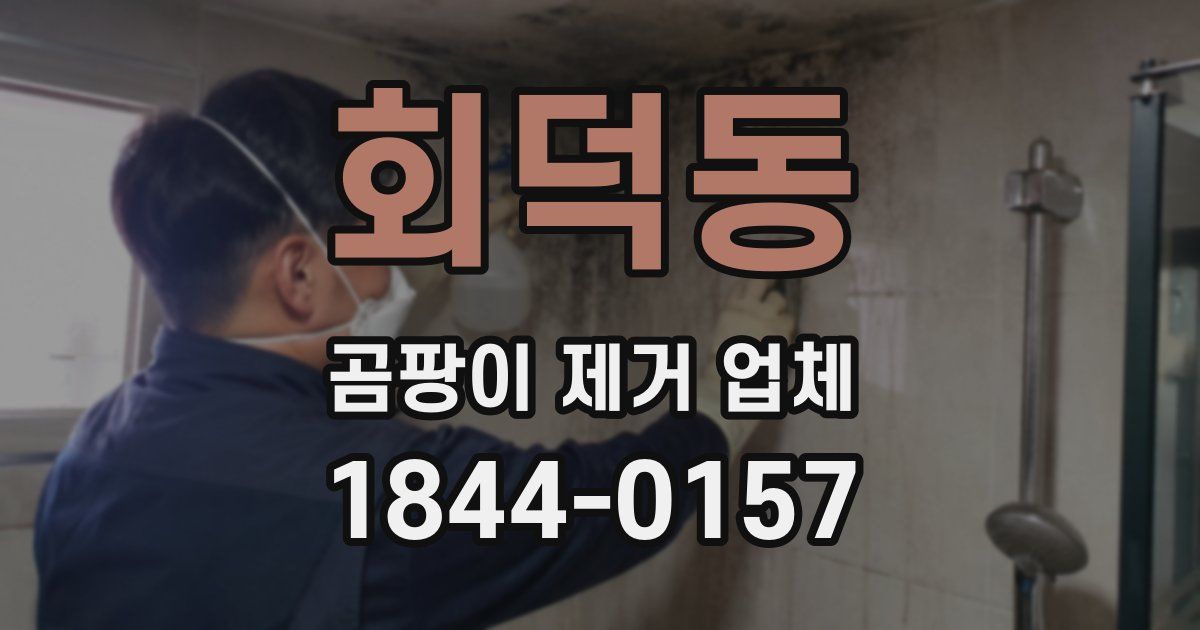 회덕동 곰팡이 제거 업체
