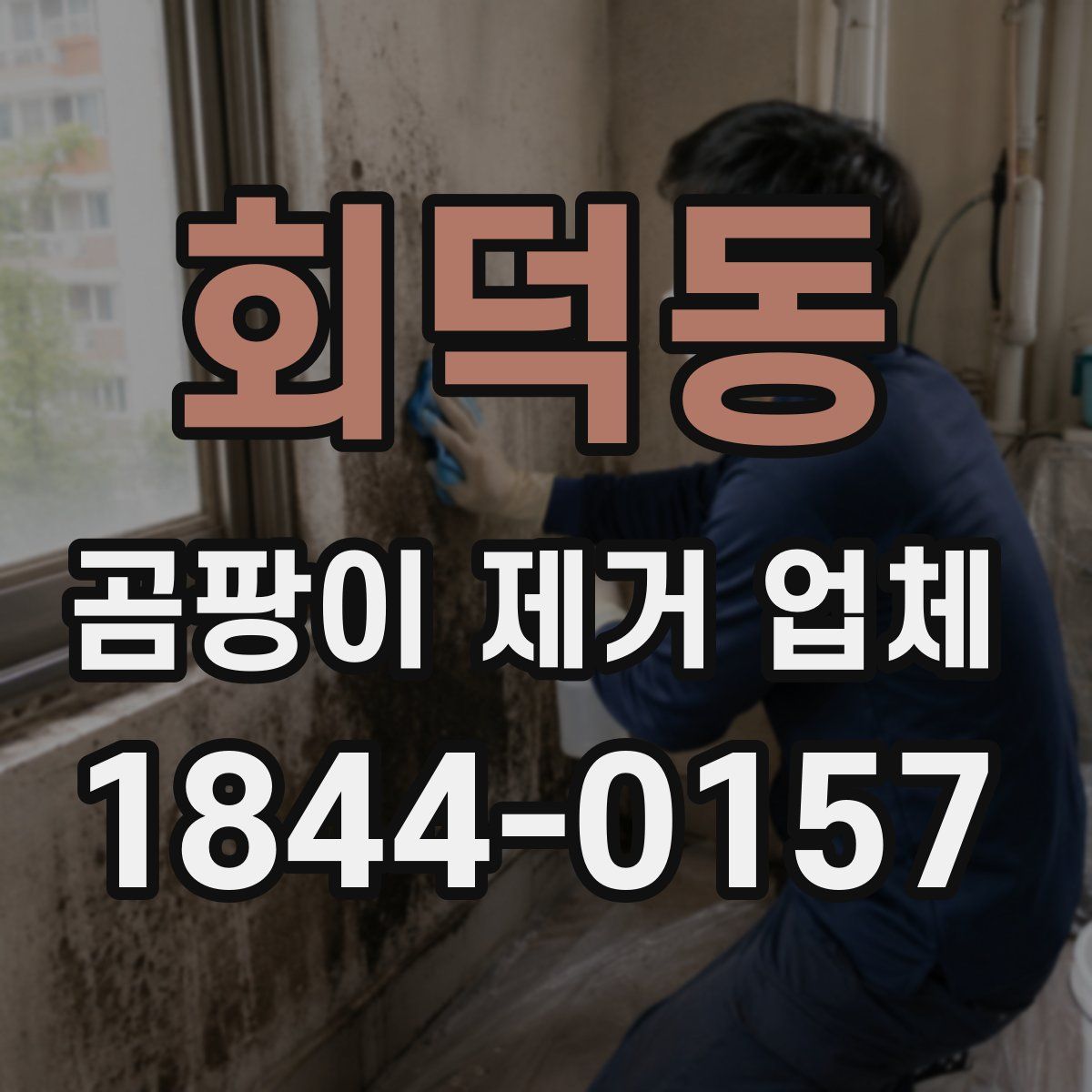 회덕동 곰팡이 제거 업체