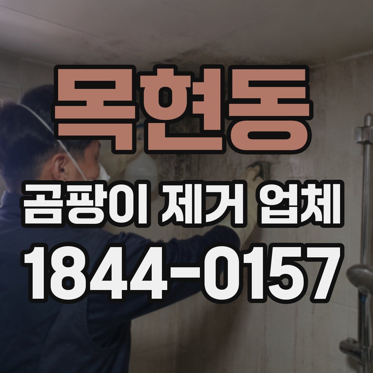 목현동 곰팡이 제거 업체
