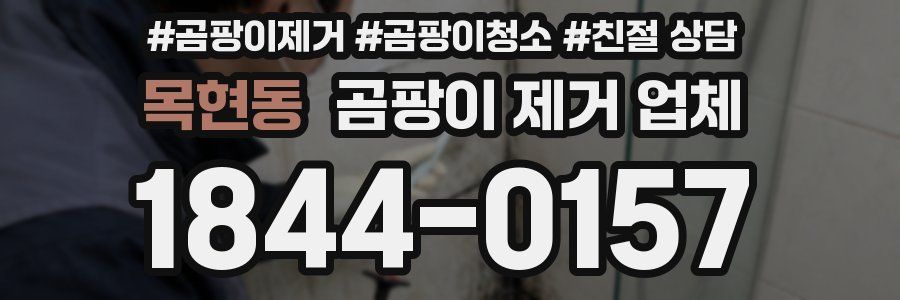목현동 곰팡이 제거 업체