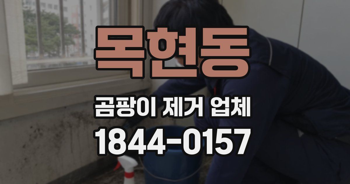 목현동 곰팡이 제거 업체