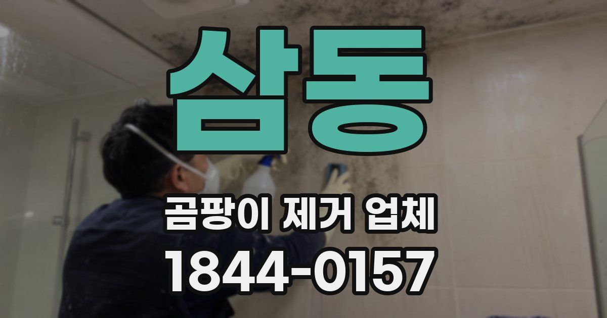 삼동 곰팡이 제거 업체