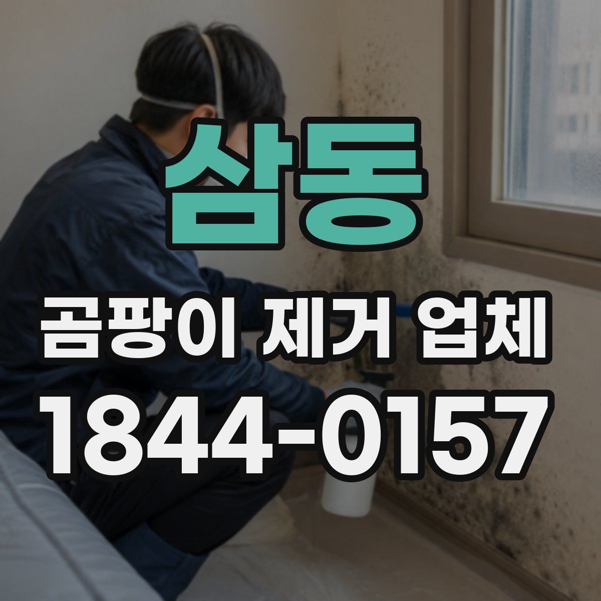 삼동 곰팡이 제거 업체
