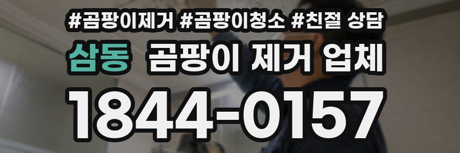 삼동 곰팡이 제거 업체