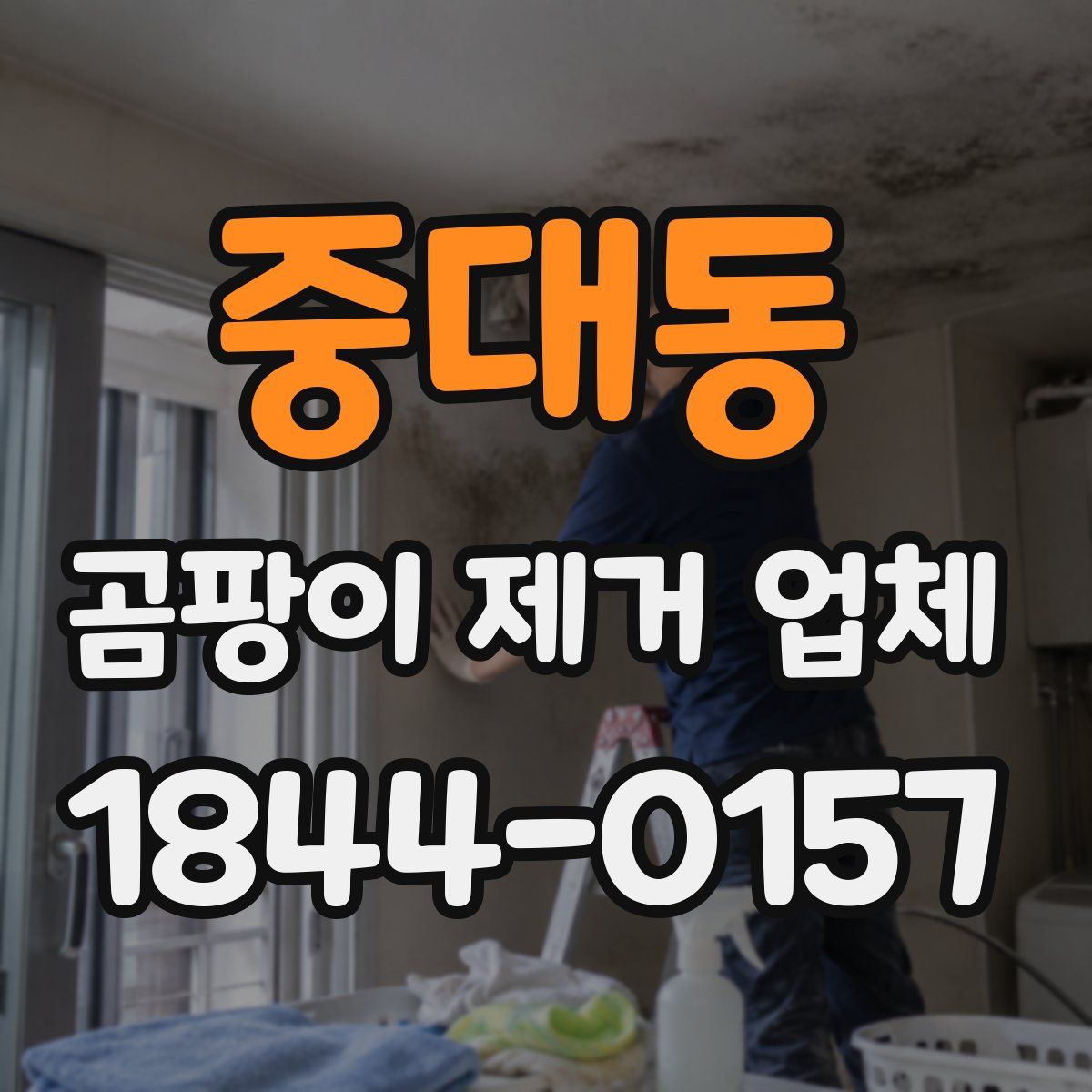 중대동 곰팡이 제거 업체