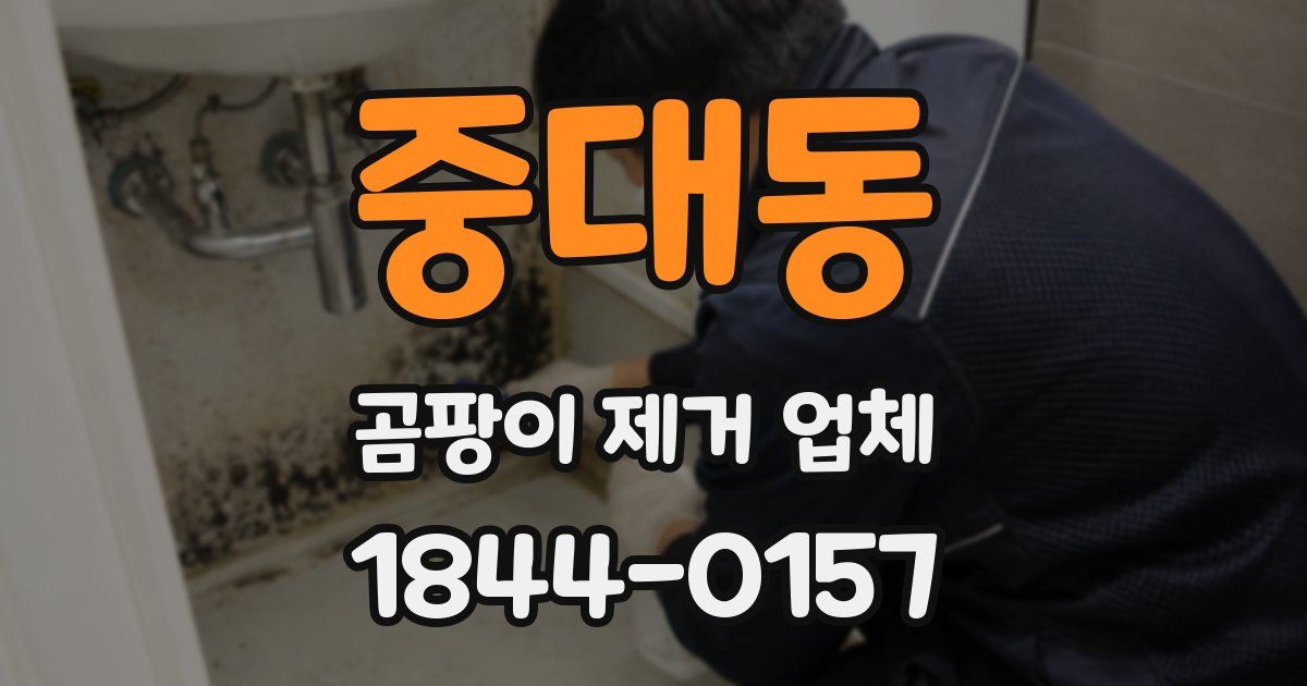중대동 곰팡이 제거 업체